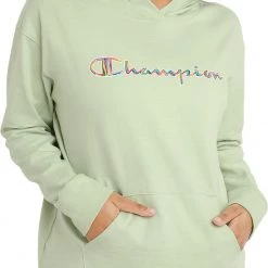 Champion Women's Middleweight Brush Stroke Script Logo T-Shirt Hoodie For Women Urban Lilac