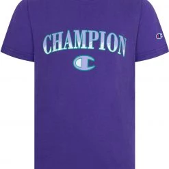 Champion Boys' Arching Brush Fill Short Sleeve T-Shirt For Boys' White