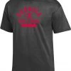 Champion Men's Georgia Bulldogs Grey Jersey T-Shirt For Men -Champion Shop unnamed file 522