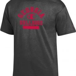 Champion Men's Georgia Bulldogs Grey Jersey T-Shirt For Men