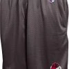 Champion Men's Georgia Bulldogs Black Mesh Performance Shorts For Men
