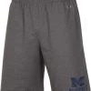 Champion Men's Michigan Wolverines Blue Training Performance Shorts For Men