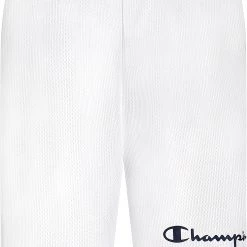 Champion Little Boys' Colorblock Vertical Script T-Shirt And Shorts Set For Boys' Black/blue -Champion Shop unnamed file 748