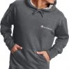 Champion Men's Powerblend Graphic Hoodie For Men Black -Champion Shop unnamed file 75