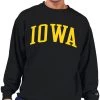 Champion Men's Big & Tall Iowa Hawkeyes Black Reverse Weave Crew Sweatshirt For Men -Champion Shop unnamed file 767