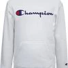 Champion Boys' Embroidered Signature Hoodie For Boys' White/blue
