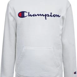 Champion Boys' Embroidered Signature Hoodie For Boys' White/blue