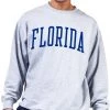 Champion Men's Big & Tall Florida Gators Grey Reverse Weave Crew Sweatshirt For Men -Champion Shop unnamed file 770