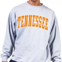 Champion Men's Big & Tall Tennessee Volunteers Grey Reverse Weave Crew Sweatshirt For Men
