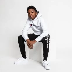 Champion Boys' Embroidered Signature Hoodie For Boys' White/blue -Champion Shop unnamed file 79